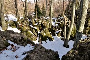 26 Faggi secolari e caratteristiche formazioni rocciose